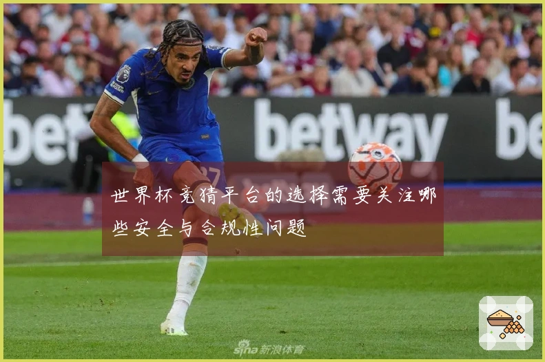 世界杯竞猜平台的选择需要关注哪些安全与合规性问题