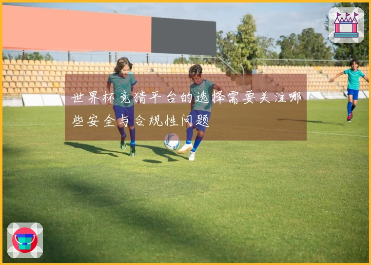 世界杯竞猜平台的选择需要关注哪些安全与合规性问题